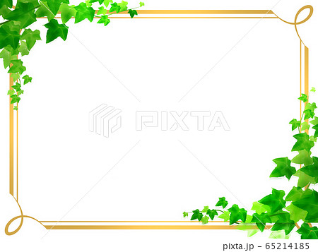 つる草のイラスト素材 Pixta