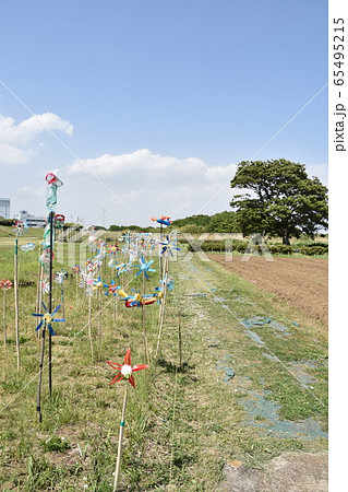 ペットボトル 風車 公園 ペットボトル風車の写真素材