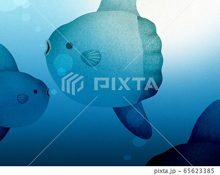 マンボウのイラスト素材集 ピクスタ