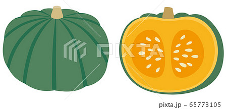 かぼちゃの種のイラスト素材