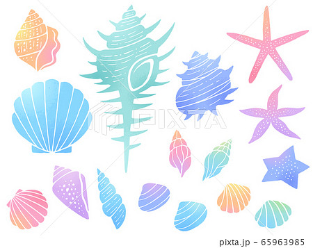 巻貝 貝殻 貝 アイコンのイラスト素材