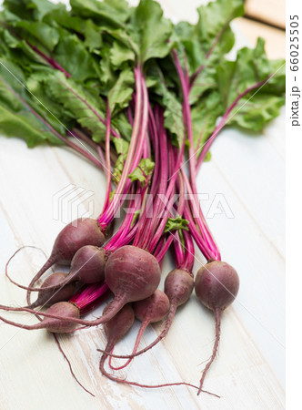 テーブルビート 野菜 植物 食べ物の写真素材