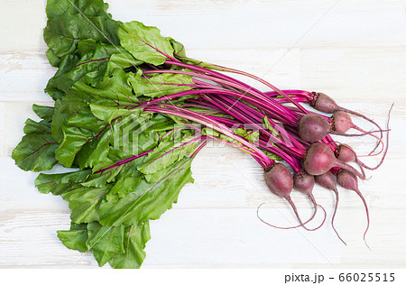 テーブルビート 野菜 植物 食べ物の写真素材