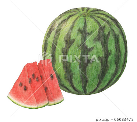 すいか スイカ カット 水彩のイラスト素材