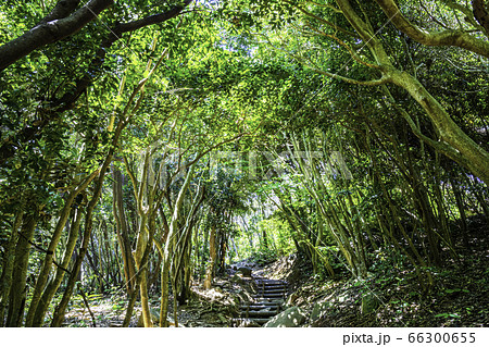 シニアから始めた透明水彩画 - 風景[ 海岸・港・湖 ]