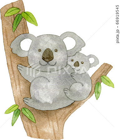 Simple and cute koala clip art illustration - Stock Illustration  [91225664] - PIXTA