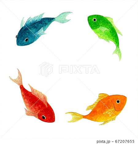 熱帯魚 魚 水彩 手描きのイラスト素材