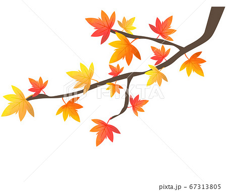 葉 もみじ 楓 紅葉のイラスト素材