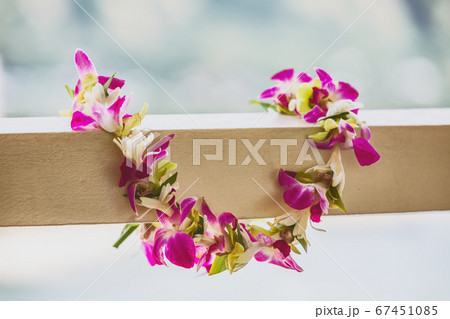 Lei Hawaii Welcome Necklace of Fresh Orchids Flowers Garland on