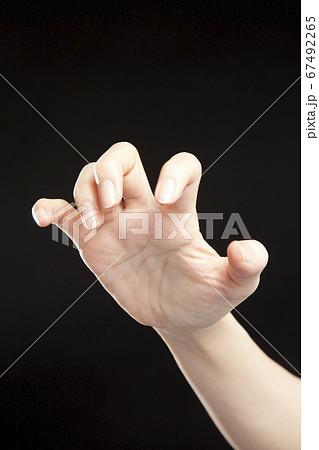 威嚇ポーズの写真素材