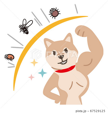害虫のイラスト素材