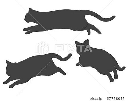 動物 動物 猫 走るのイラスト素材