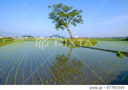 小墾田宮の写真素材