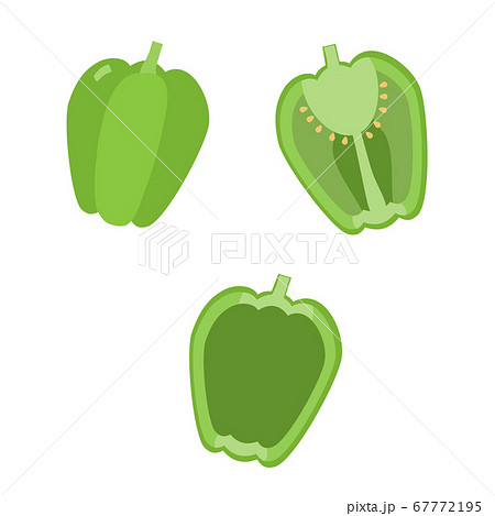 ピーマン 断面 野菜 食材のイラスト素材