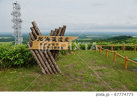 格子状防風林の写真素材