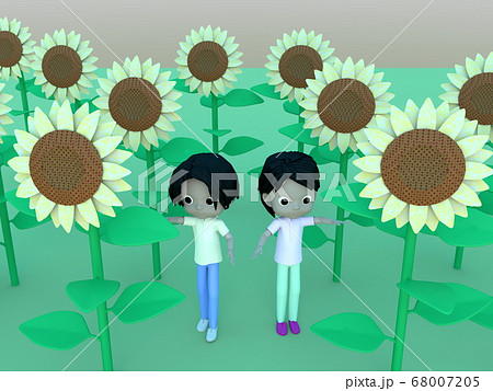 ヒマワリ畑 女の子 イラスト 真夏の写真素材