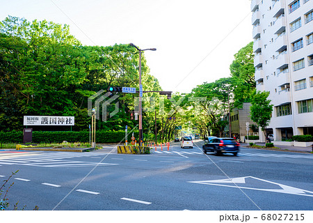 福岡けやき通りの写真素材