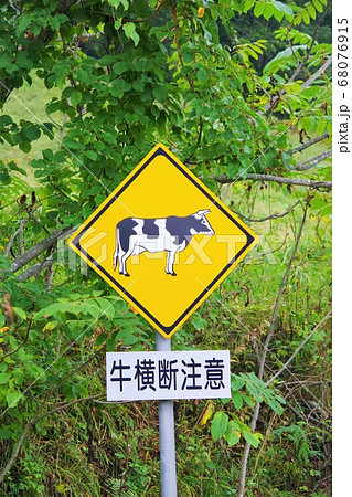 動物飛び出し注意 看板の写真素材