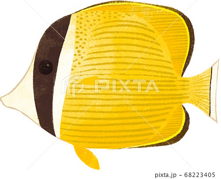 沖縄の魚のイラスト素材