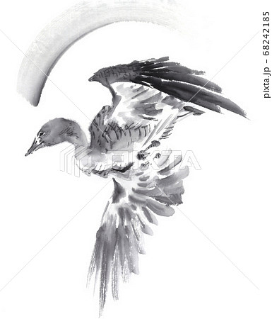 白黒鳥のイラスト素材