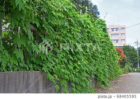 目隠しフェンスの写真素材