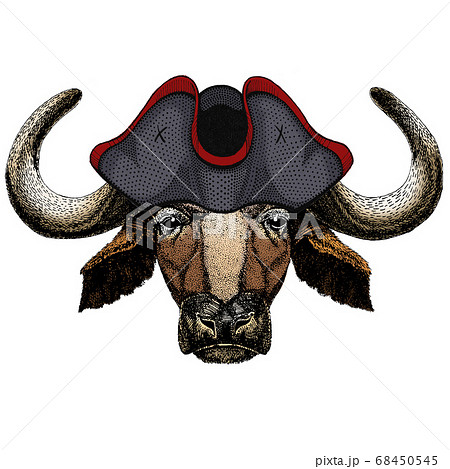 牛の被り物のイラスト素材