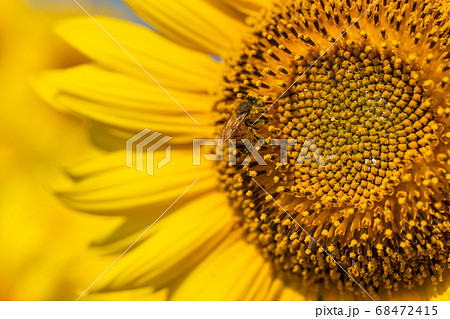 東日本照片素材