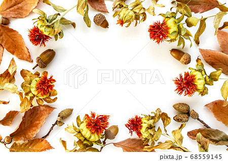 フレーム 枠 枯れ葉 ドライフラワーの写真素材