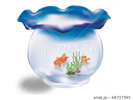 金魚鉢 ガラス イラスト 水草の写真素材