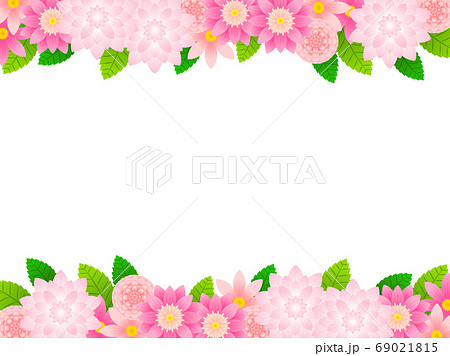 かわいいダリアのイラスト素材
