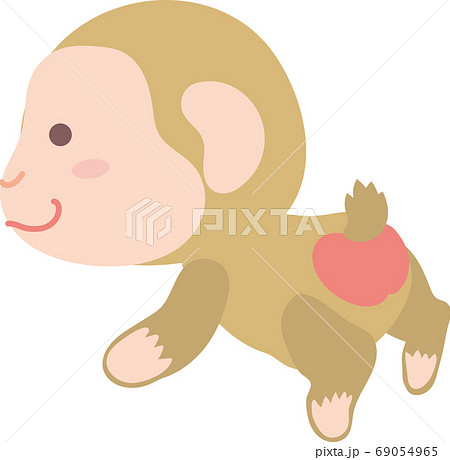 Japanese Monkey Illustrations