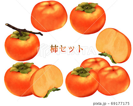 柿のイラスト素材集 ピクスタ