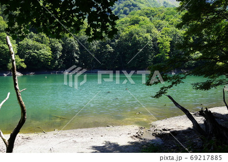 白神山地照片素材