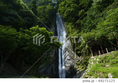 雨畑川の写真素材