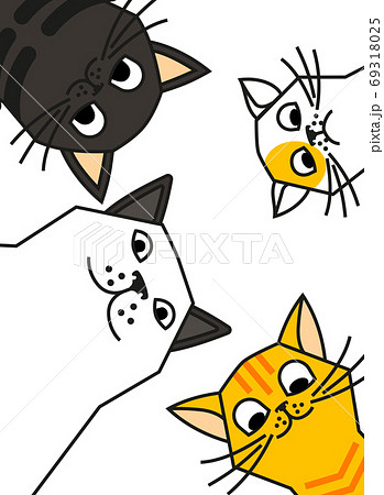 Cat Meme Cats Are Talking To Youのイラスト素材
