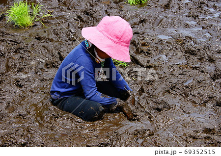 泥まみれ 子供の写真素材