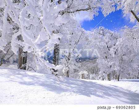 垂り雪の写真素材