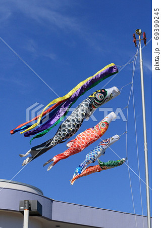 小さい鯉のぼりの写真素材