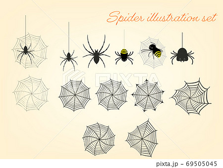 蜘蛛 虫 昆虫 蜘蛛の巣のイラスト素材
