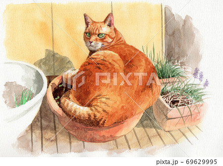 猫の日向ぼっこ 猫の兄弟姉妹 水彩画です。6号(400×305、単位