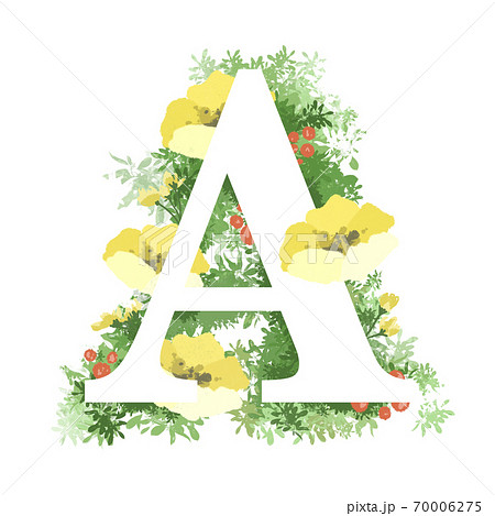 大文字のイラスト素材