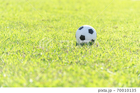サッカーボール 芝生の写真素材