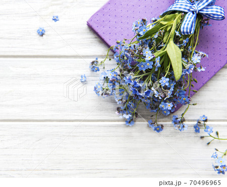 ワスレナグサ 可愛い花 勿忘草 綺麗な花の写真素材