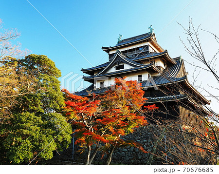 松江城 紅葉 秋 天守閣の写真素材