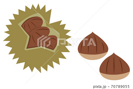 いがぐりのイラスト素材