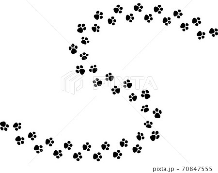 シルエット 猫 透過背景 イラストの写真素材 - PIXTA