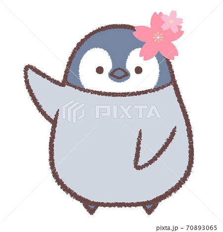 ペンギン かわいい イラスト 動物のイラスト素材