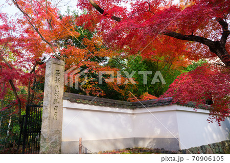 浄住寺 参道 紅葉 京都の写真素材