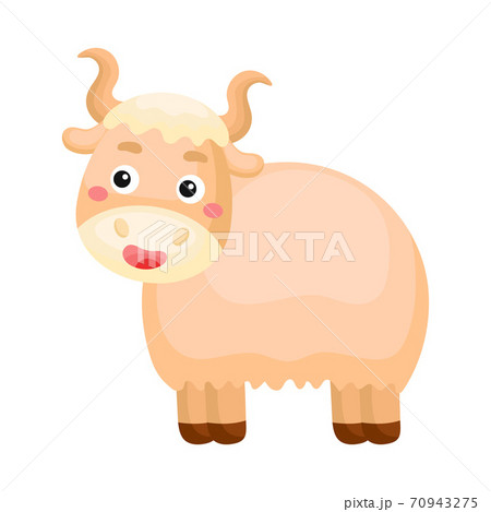 ヤック 動物の写真素材