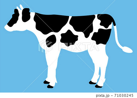 牛 モノクロ 白黒 乳牛のイラスト素材